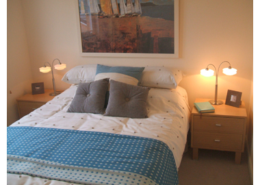 proclean - a professional home cleaning service 