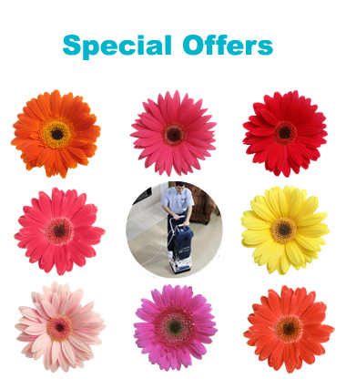 Special offers on domestic and carpet cleaning Glasgow